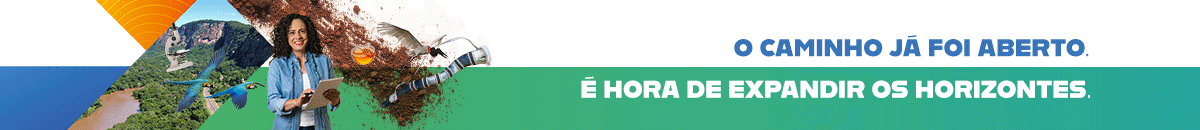 Google search engine